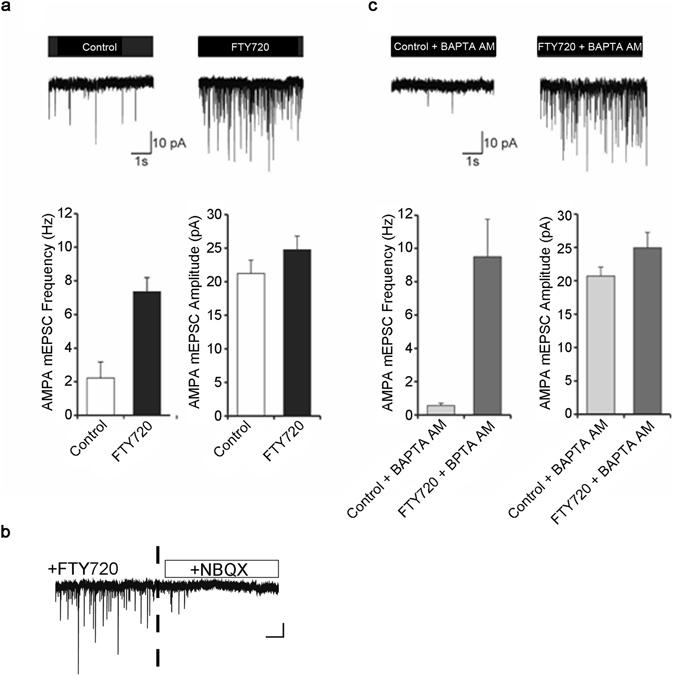 https://cdn.ncbi.nlm.nih.gov/pmc/blobs/a83b/5519734/37642f7ab53d/41598_2017_5948_Fig5_HTML.jpg