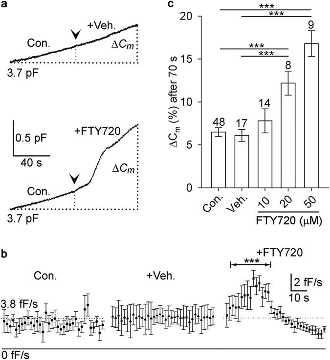 https://cdn.ncbi.nlm.nih.gov/pmc/blobs/a83b/5519734/88763737d2a0/41598_2017_5948_Fig3_HTML.jpg