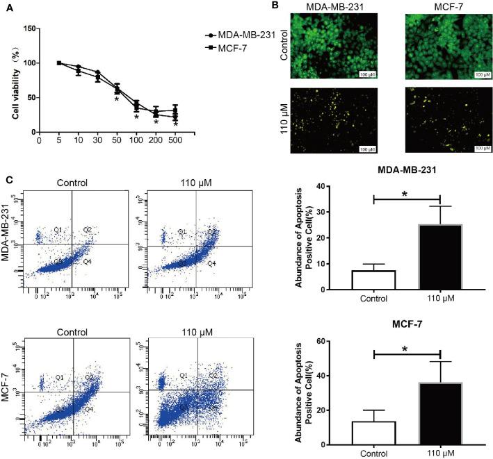 https://cdn.ncbi.nlm.nih.gov/pmc/blobs/a840/7900193/3f948825f922/fonc-10-588533-g001.jpg