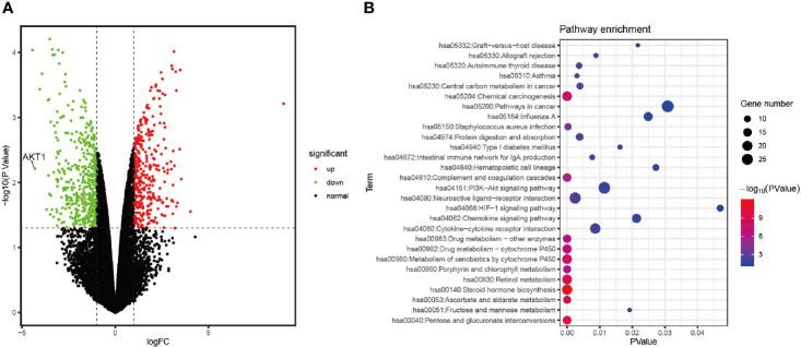 https://cdn.ncbi.nlm.nih.gov/pmc/blobs/a840/7900193/8e8b20affc25/fonc-10-588533-g005.jpg