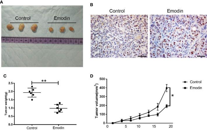https://cdn.ncbi.nlm.nih.gov/pmc/blobs/a840/7900193/de70bfe5c7aa/fonc-10-588533-g002.jpg