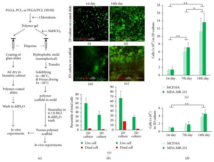 https://cdn.ncbi.nlm.nih.gov/pmc/blobs/a841/5828246/070517019e50/IJBM2017-8074890.001.jpg
