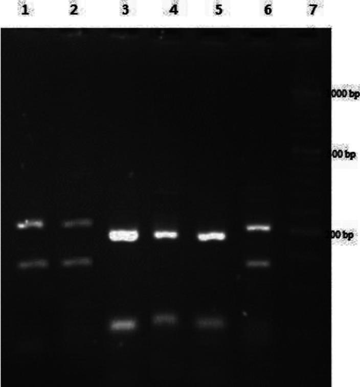https://cdn.ncbi.nlm.nih.gov/pmc/blobs/a841/7812499/3cd74fdb9a12/IJMS-46-43-g001.jpg
