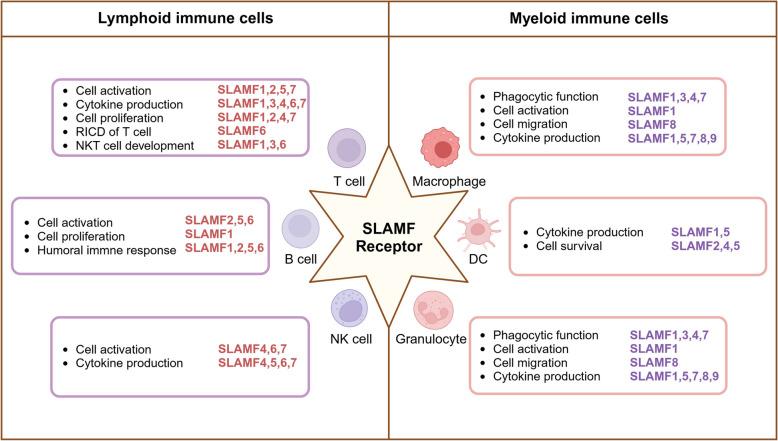 https://cdn.ncbi.nlm.nih.gov/pmc/blobs/a843/12084948/2f8ac929d293/12943_2025_2308_Fig3_HTML.jpg