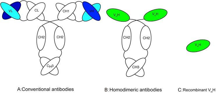 https://cdn.ncbi.nlm.nih.gov/pmc/blobs/a843/7112682/eac8172579ed/gr1_lrg.jpg
