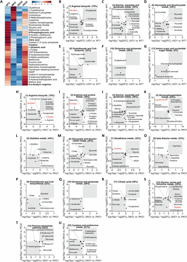 https://cdn.ncbi.nlm.nih.gov/pmc/blobs/a845/11876434/70f3378b29d7/44318_2024_339_Fig11_ESM.jpg
