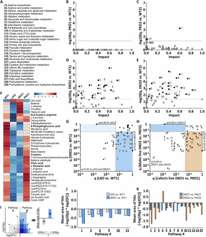 https://cdn.ncbi.nlm.nih.gov/pmc/blobs/a845/11876434/724a1dcab520/44318_2024_339_Fig4_HTML.jpg