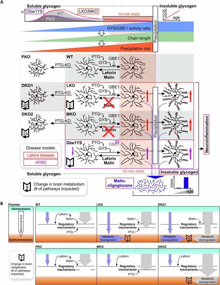 https://cdn.ncbi.nlm.nih.gov/pmc/blobs/a845/11876434/e6a487e383a7/44318_2024_339_Fig8_HTML.jpg