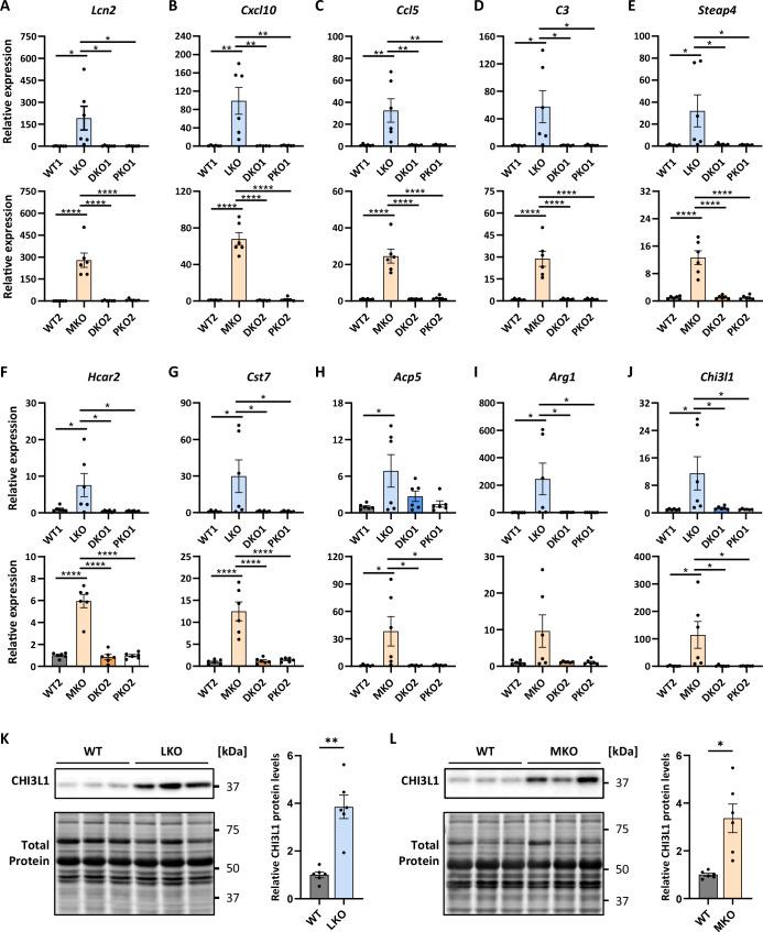 https://cdn.ncbi.nlm.nih.gov/pmc/blobs/a845/11876434/f0e86223f8d9/44318_2024_339_Fig2_HTML.jpg