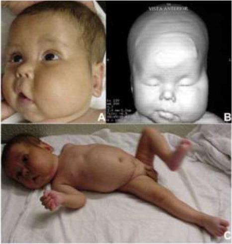 https://cdn.ncbi.nlm.nih.gov/pmc/blobs/a847/4499093/17447dfbf37b/IJPH-43-1702f1.jpg