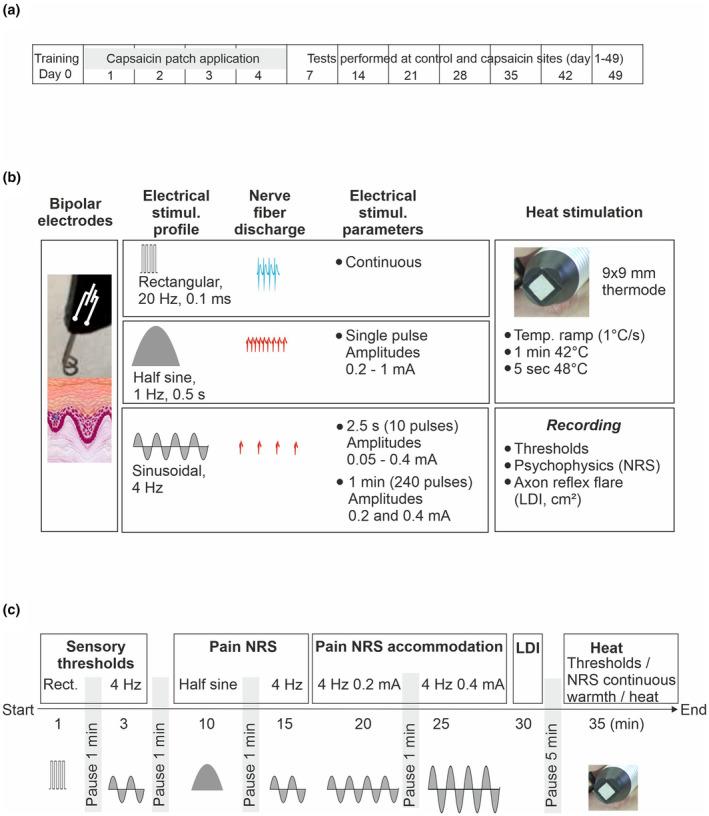 https://cdn.ncbi.nlm.nih.gov/pmc/blobs/a849/11671321/9043c1b75050/EJP-29-0-g003.jpg