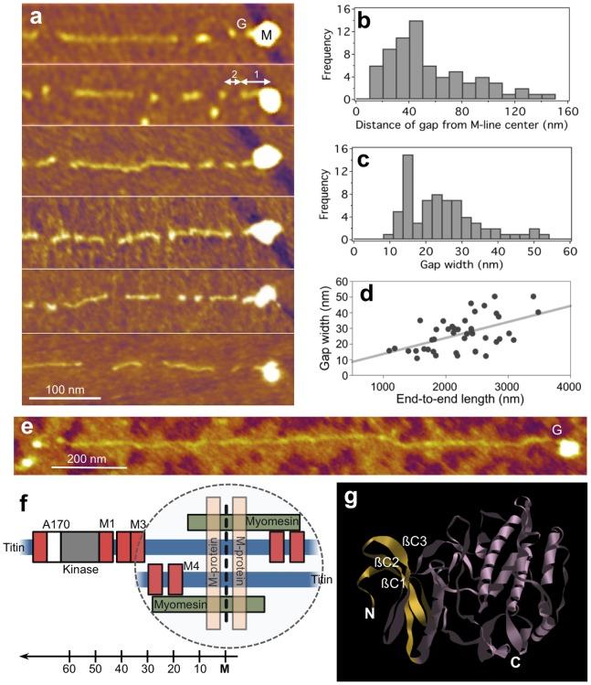 https://cdn.ncbi.nlm.nih.gov/pmc/blobs/a84a/3896421/c2b4187980fc/pone.0085847.g006.jpg