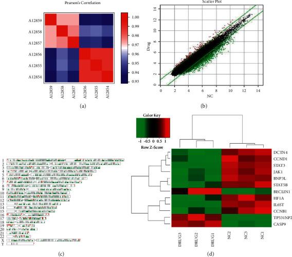 https://cdn.ncbi.nlm.nih.gov/pmc/blobs/a84b/9007645/1d3f996085ea/ECAM2022-4445293.010.jpg
