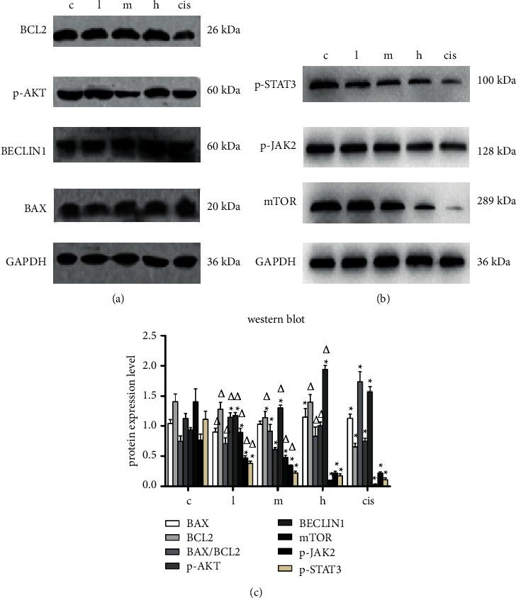 https://cdn.ncbi.nlm.nih.gov/pmc/blobs/a84b/9007645/f02180454f25/ECAM2022-4445293.006.jpg