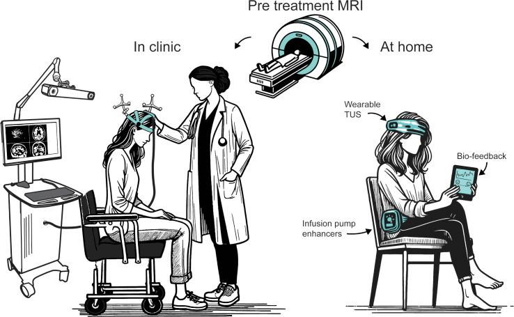 https://cdn.ncbi.nlm.nih.gov/pmc/blobs/a84c/11521279/e0ce5559fae2/pbio.3002884.g005.jpg