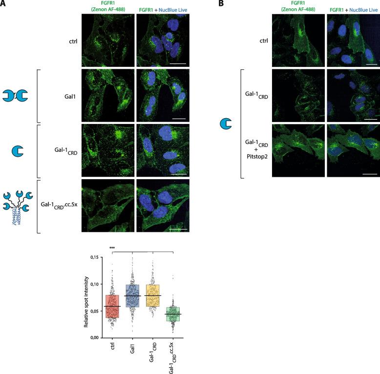 https://cdn.ncbi.nlm.nih.gov/pmc/blobs/a84f/11094976/4e76229d4ebb/12964_2024_1661_Fig6_HTML.jpg