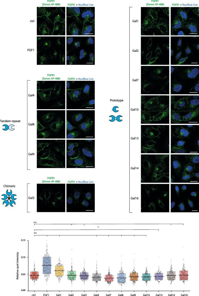 https://cdn.ncbi.nlm.nih.gov/pmc/blobs/a84f/11094976/6320a8c85307/12964_2024_1661_Fig3_HTML.jpg