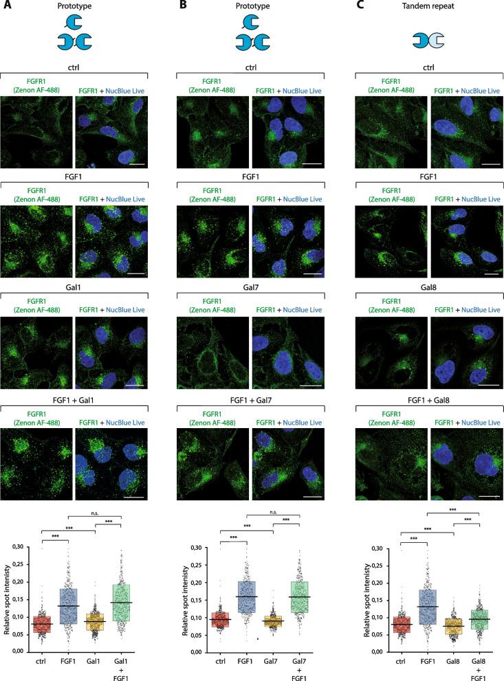 https://cdn.ncbi.nlm.nih.gov/pmc/blobs/a84f/11094976/a3b886a2e549/12964_2024_1661_Fig4_HTML.jpg