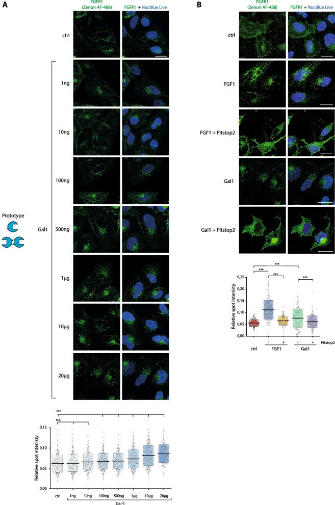 https://cdn.ncbi.nlm.nih.gov/pmc/blobs/a84f/11094976/f9619c15d94d/12964_2024_1661_Fig5_HTML.jpg