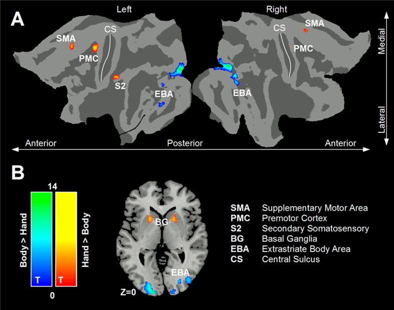 https://cdn.ncbi.nlm.nih.gov/pmc/blobs/a850/5121642/6c7c2c3b5de7/srep37259-f3.jpg