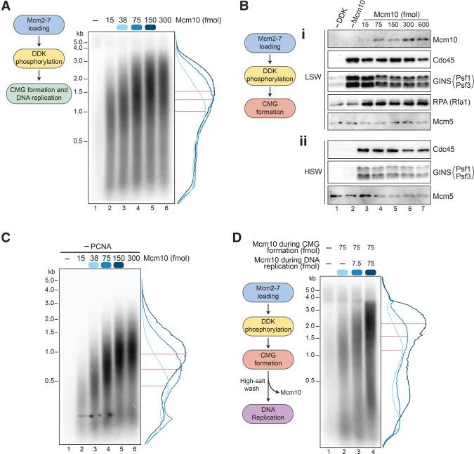 https://cdn.ncbi.nlm.nih.gov/pmc/blobs/a850/5358725/d21279b4ae8f/291f04.jpg