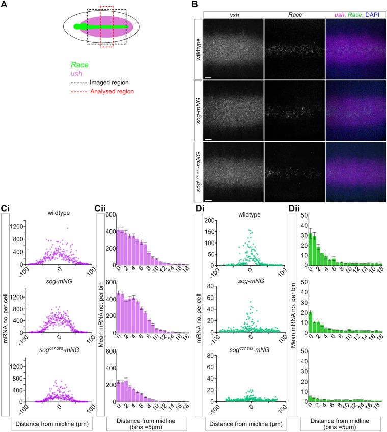 https://cdn.ncbi.nlm.nih.gov/pmc/blobs/a850/9194680/8bec4319ed42/biolopen-11-059199-g4.jpg