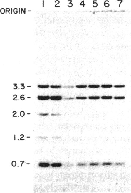 https://cdn.ncbi.nlm.nih.gov/pmc/blobs/a851/423929/c10b728aef18/jcinvest00122-0515-a.jpg