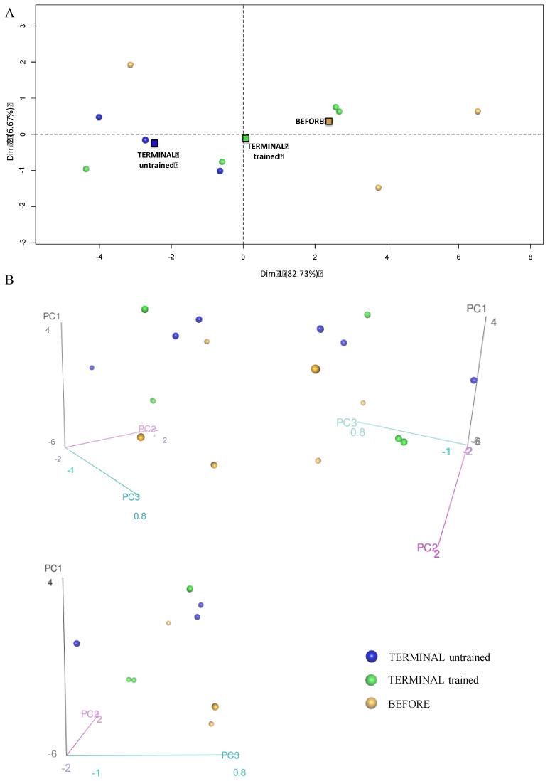 https://cdn.ncbi.nlm.nih.gov/pmc/blobs/a851/9569676/559bfd976a64/ijms-23-11504-g005.jpg