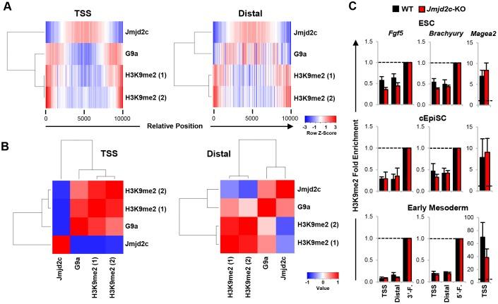 https://cdn.ncbi.nlm.nih.gov/pmc/blobs/a856/5312034/20e7337b3032/develop-144-142489-g4.jpg