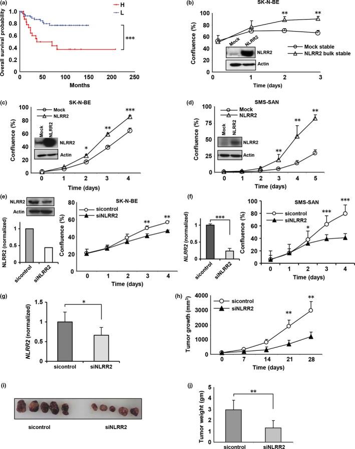 https://cdn.ncbi.nlm.nih.gov/pmc/blobs/a857/5021041/61468c34496e/CAS-107-1223-g001.jpg