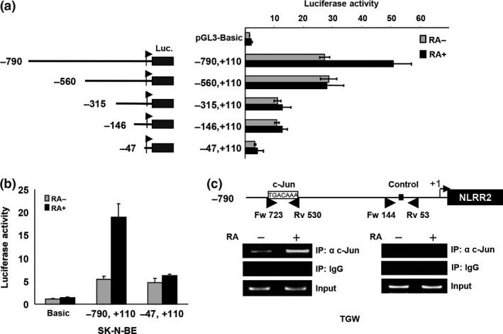 https://cdn.ncbi.nlm.nih.gov/pmc/blobs/a857/5021041/9bc5fead2485/CAS-107-1223-g004.jpg