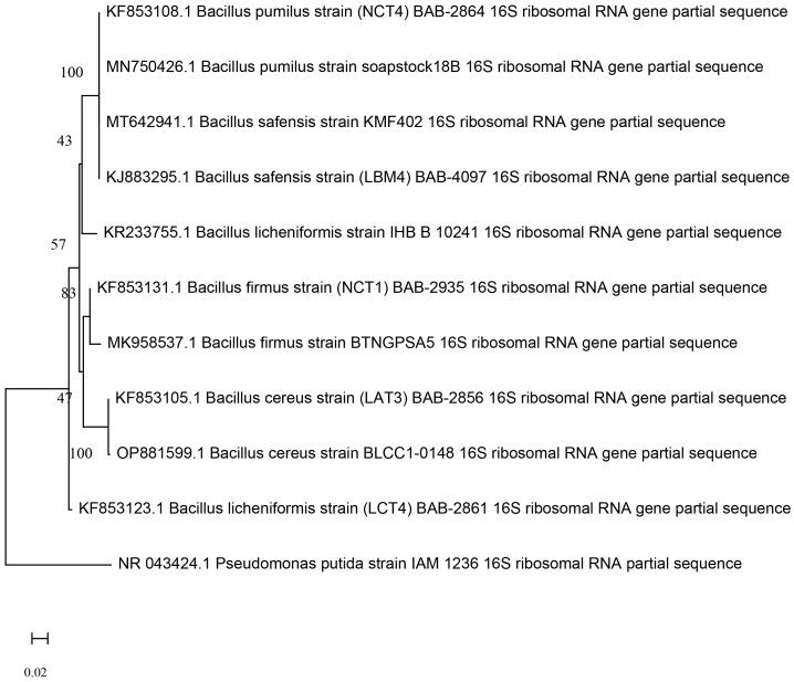https://cdn.ncbi.nlm.nih.gov/pmc/blobs/a859/10089305/027ea57ef2ab/fpls-14-1168155-g001.jpg