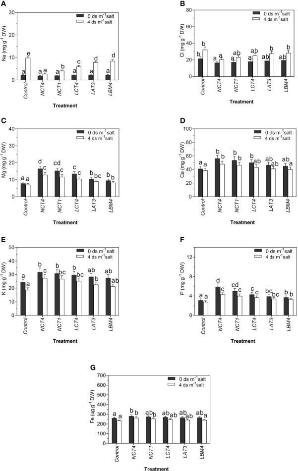 https://cdn.ncbi.nlm.nih.gov/pmc/blobs/a859/10089305/84b8540fca9b/fpls-14-1168155-g004.jpg