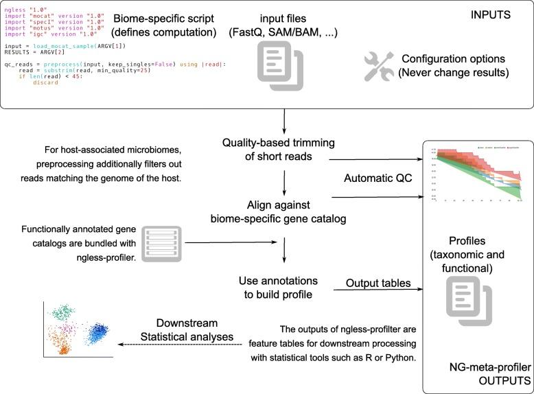 https://cdn.ncbi.nlm.nih.gov/pmc/blobs/a859/6547473/329dfc286d21/40168_2019_684_Fig1_HTML.jpg