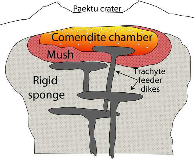 https://cdn.ncbi.nlm.nih.gov/pmc/blobs/a85e/5262451/e64ac26de748/1600913-F5.jpg