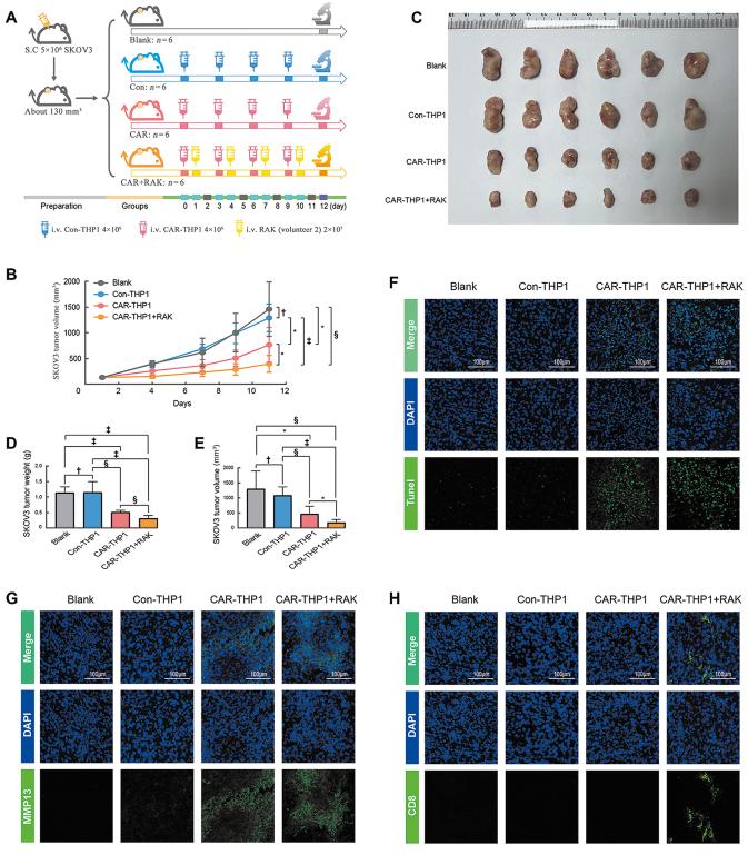 https://cdn.ncbi.nlm.nih.gov/pmc/blobs/a85f/11557030/d3964c56eeb0/cm9-137-2590-g005.jpg