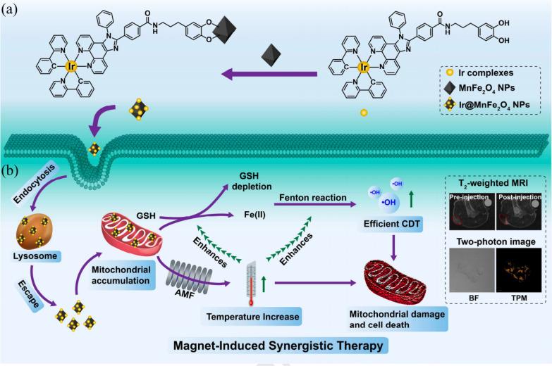 https://cdn.ncbi.nlm.nih.gov/pmc/blobs/a860/11562681/5fcdb0ba4fda/12951_2024_2907_Fig14_HTML.jpg