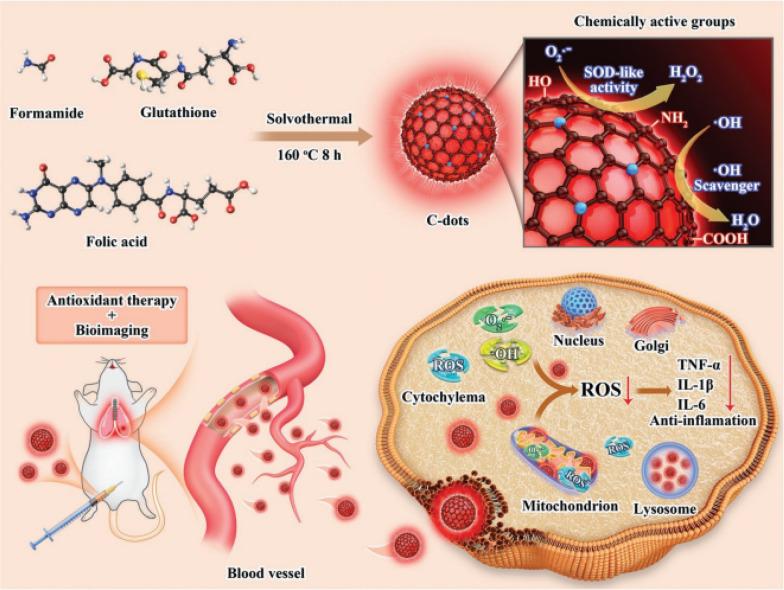 https://cdn.ncbi.nlm.nih.gov/pmc/blobs/a860/11562681/5fe0c68f2000/12951_2024_2907_Fig7_HTML.jpg