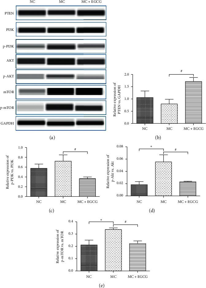 https://cdn.ncbi.nlm.nih.gov/pmc/blobs/a862/7880711/07458eb3ca96/ECAM2021-8846813.006.jpg