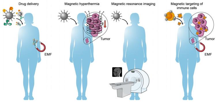 https://cdn.ncbi.nlm.nih.gov/pmc/blobs/a863/10778776/78b480ddde66/ijms-25-00452-g006.jpg