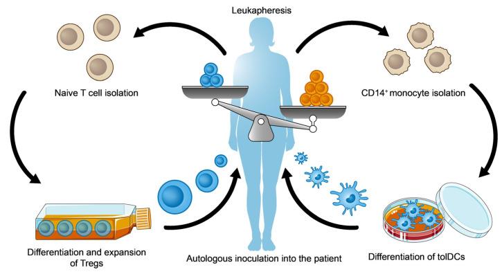 https://cdn.ncbi.nlm.nih.gov/pmc/blobs/a863/10778776/b580d9ae0ddd/ijms-25-00452-g005.jpg