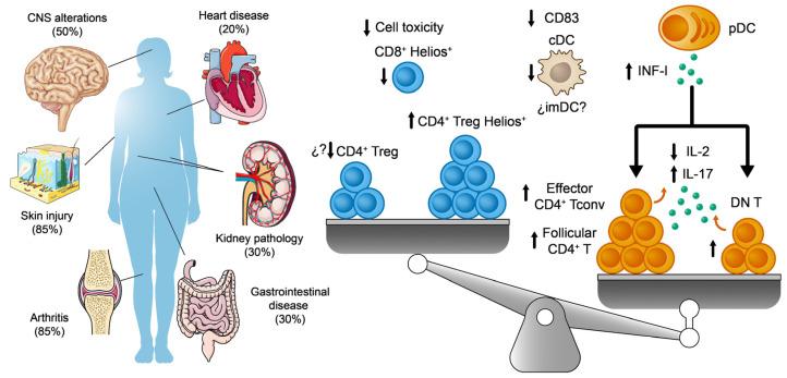 https://cdn.ncbi.nlm.nih.gov/pmc/blobs/a863/10778776/c443838be24d/ijms-25-00452-g003.jpg