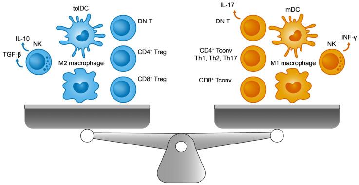 https://cdn.ncbi.nlm.nih.gov/pmc/blobs/a863/10778776/fe973a09976e/ijms-25-00452-g001.jpg