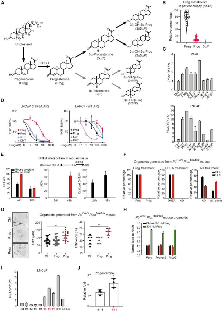 https://cdn.ncbi.nlm.nih.gov/pmc/blobs/a863/9040187/6f97a664c79d/gr4.jpg
