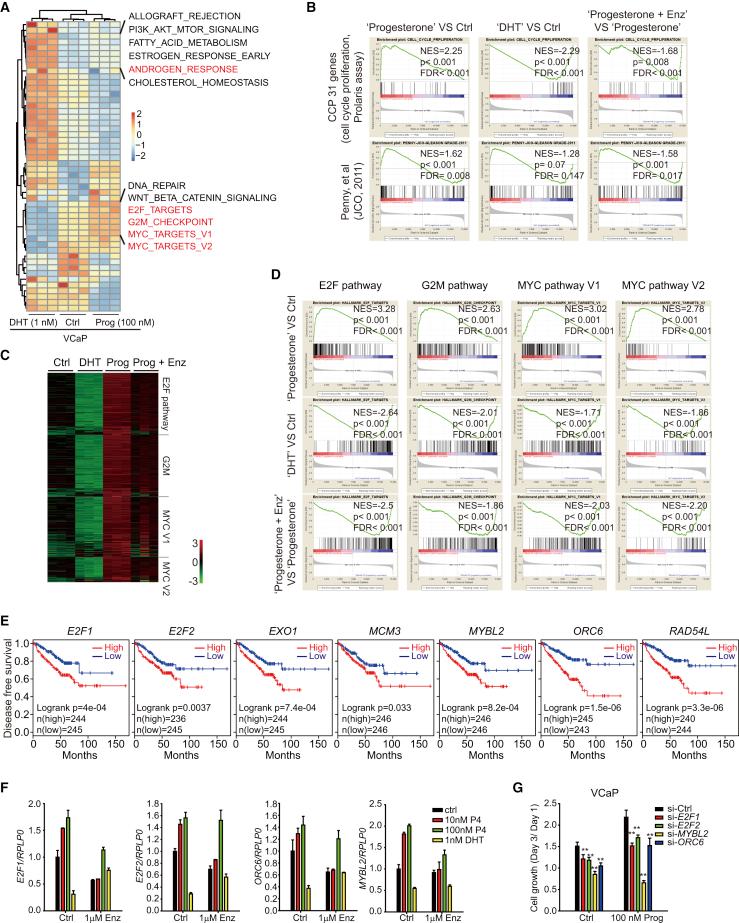 https://cdn.ncbi.nlm.nih.gov/pmc/blobs/a863/9040187/afa2bf0b3a58/gr2.jpg