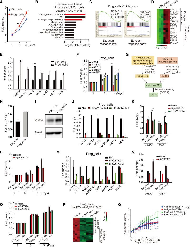 https://cdn.ncbi.nlm.nih.gov/pmc/blobs/a863/9040187/dd84119c2b2c/gr3.jpg