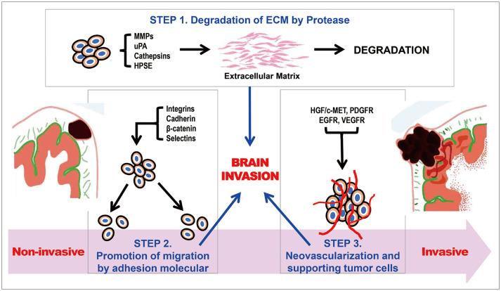 https://cdn.ncbi.nlm.nih.gov/pmc/blobs/a863/9911709/49d61c8b0200/btrt-11-47-g001.jpg