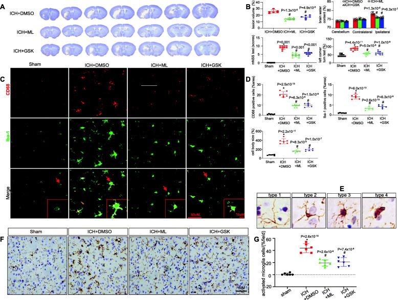 https://cdn.ncbi.nlm.nih.gov/pmc/blobs/a867/7708246/57b8f849df8d/12974_2020_2015_Fig3_HTML.jpg