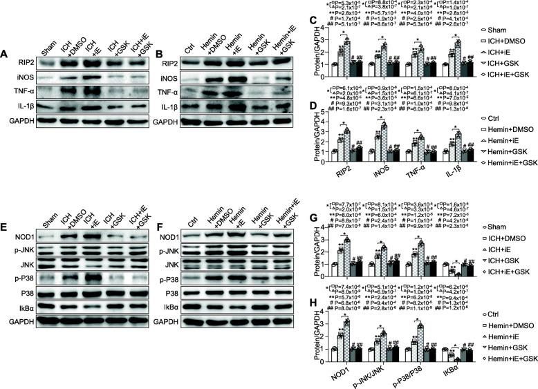 https://cdn.ncbi.nlm.nih.gov/pmc/blobs/a867/7708246/6fcc4ed80420/12974_2020_2015_Fig5_HTML.jpg