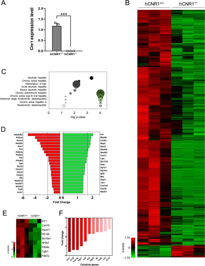 https://cdn.ncbi.nlm.nih.gov/pmc/blobs/a867/7726564/fa268437ce89/41419_2020_3261_Fig1_HTML.jpg